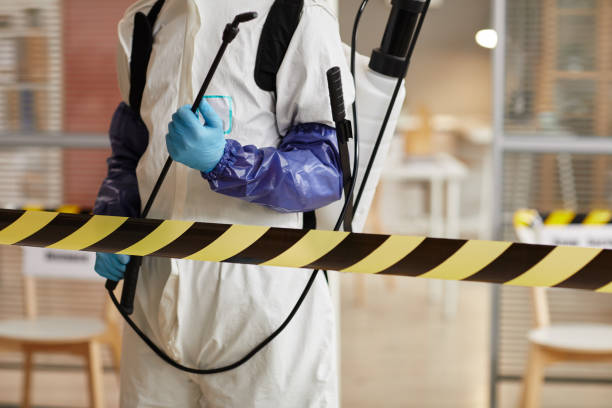 Professional Sewage Cleanup technician working in Piru, CA